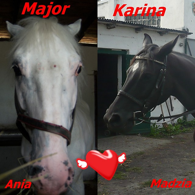Major i Karina