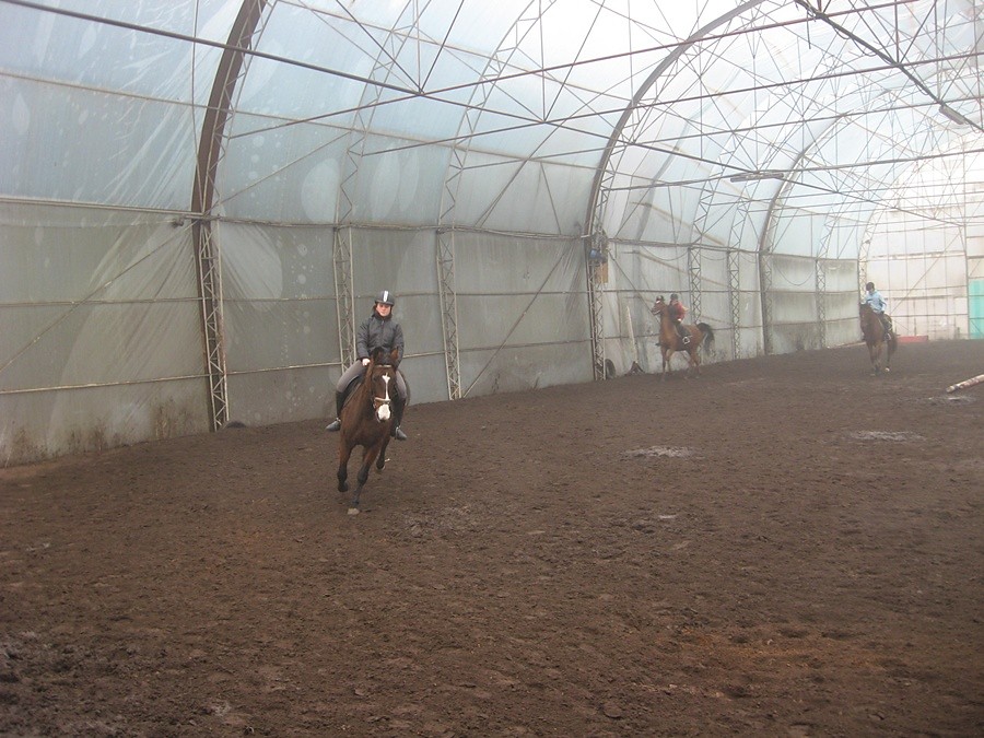 Galop na Horcie ;*