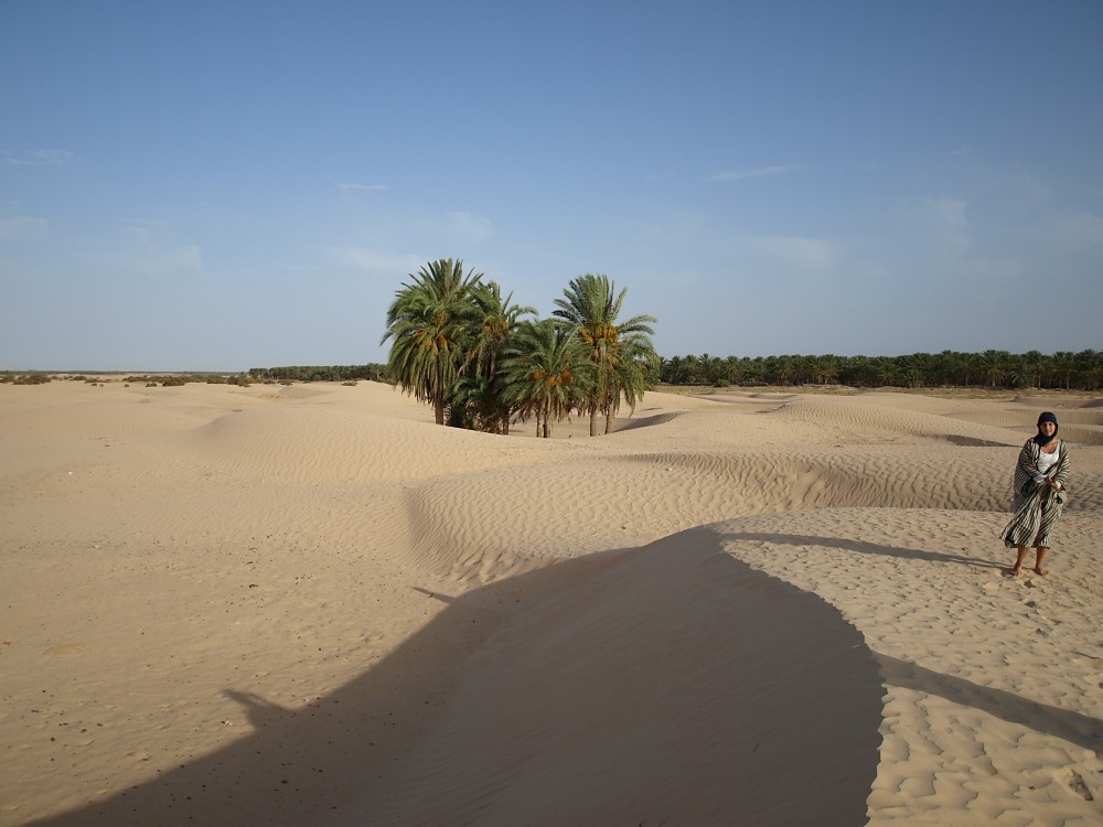Sahara.