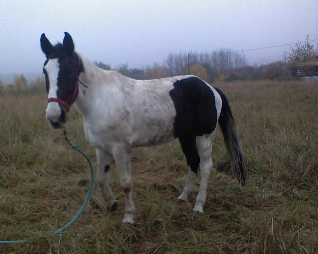 Riciek ;* Dla Duli ;*
