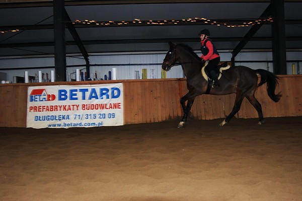 Galop.