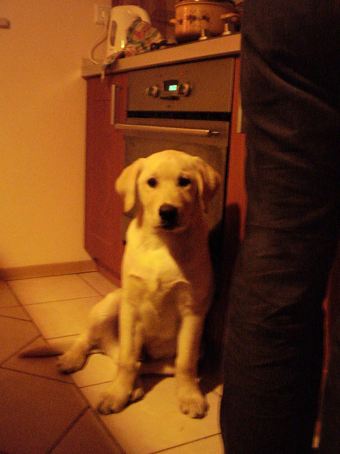 Ostatnie foto...