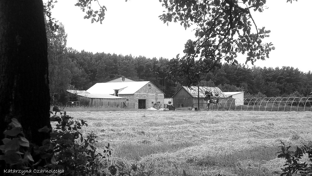 Radzymin