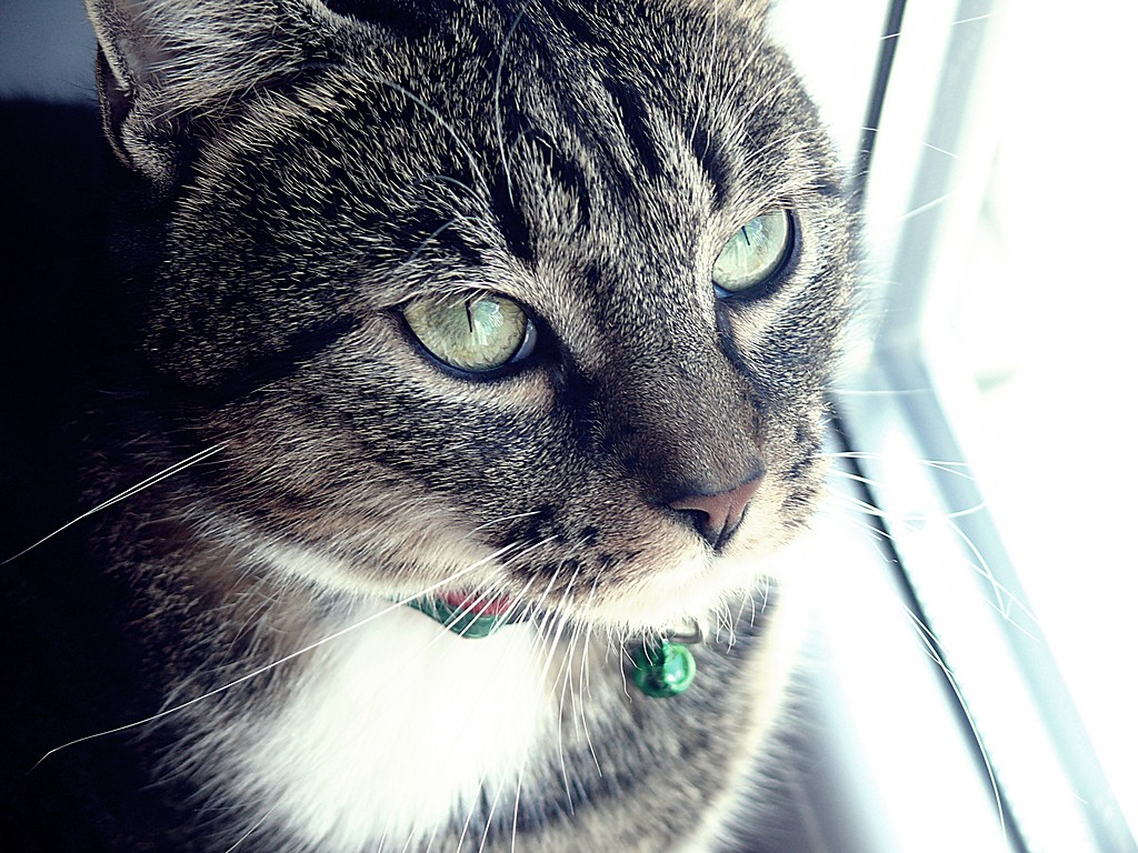ciZzzzzia. ;)