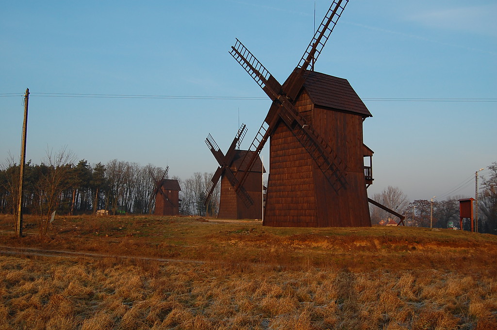 kolaki