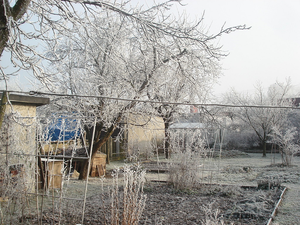 my little winter wonderland