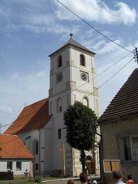 Koci
