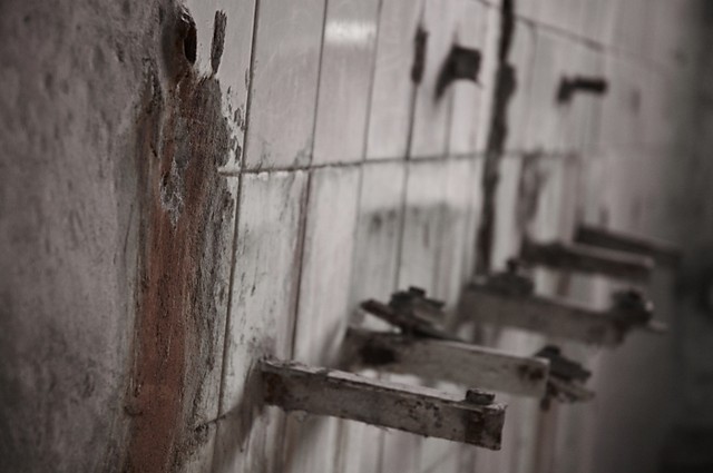 Wash Your Hands