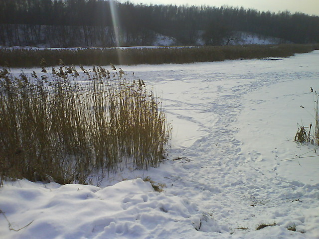 Staw zamarz.. :)