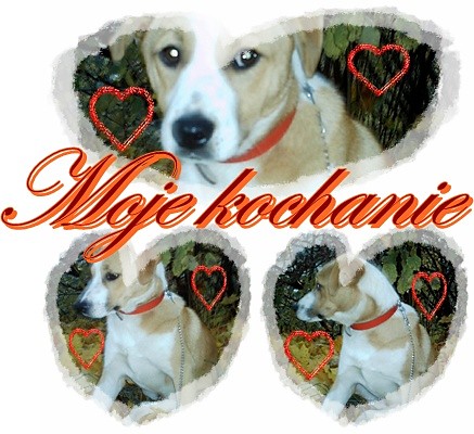 moje kochanie 