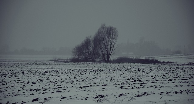 winter...