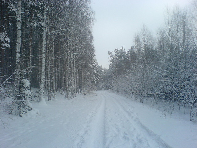 Zima