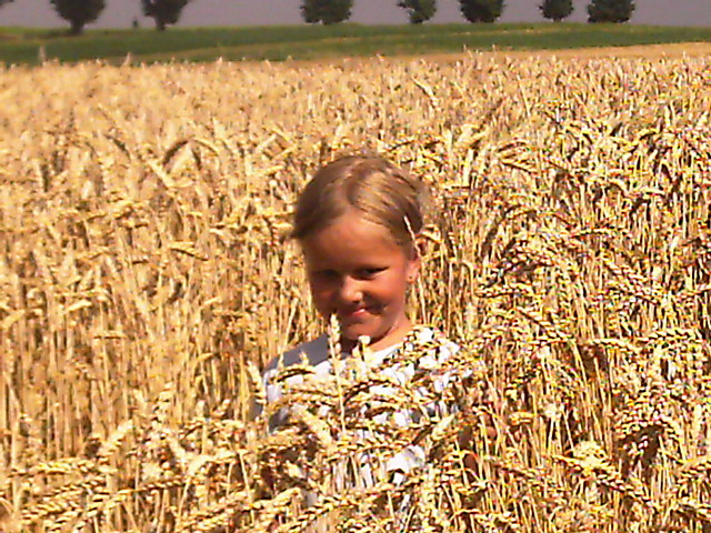maa ja 
