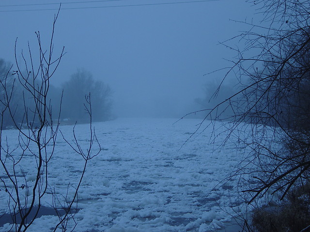 zima