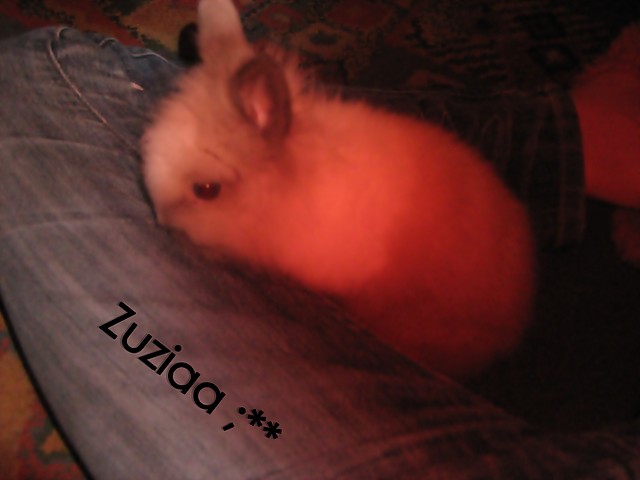 Zuzia:**