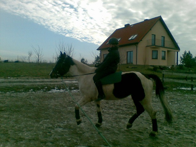 Na oklep na Riciaku xd