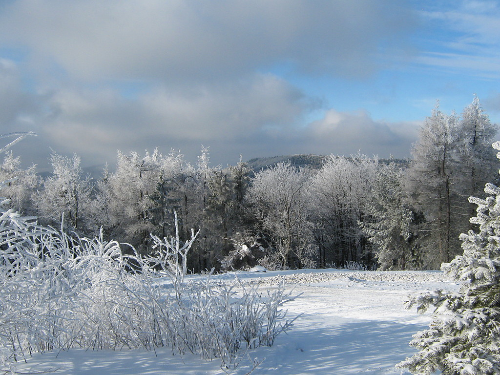 Krynica 