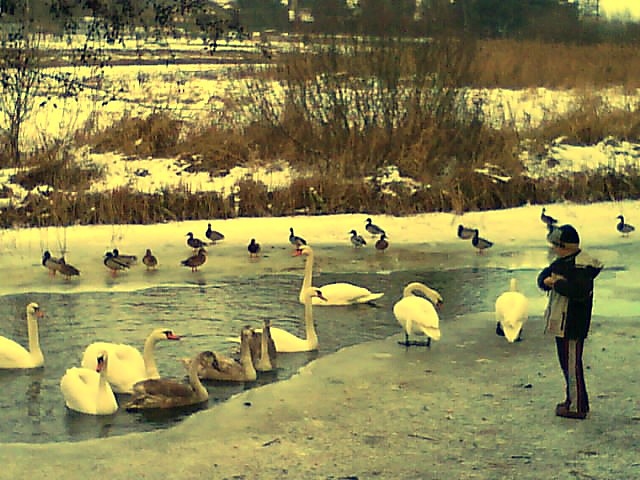 yj i pozwl y innym...