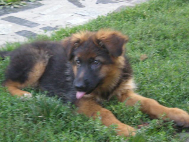 moJe maluTkie ;] :**
