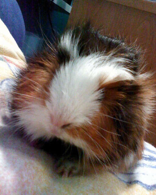 SWEET :)