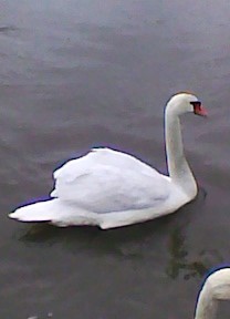 Pikno natury ;]