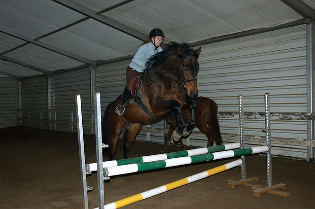Galop.