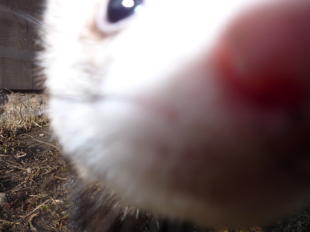   ;]