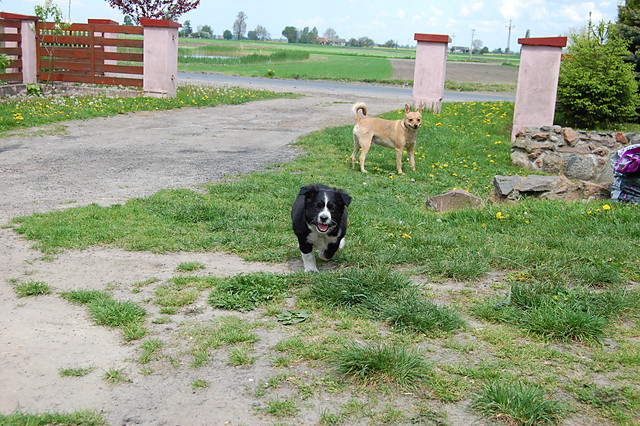 Maxio i Fifka:D
