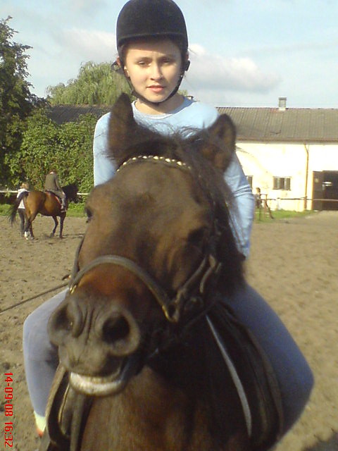 _mOrdO_tY_mOja_