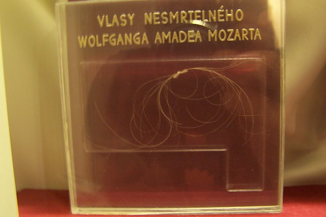 Wosy Mozarta 