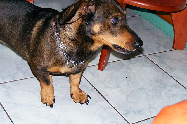 Junior my friend :) 