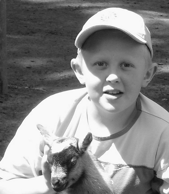 ZOO