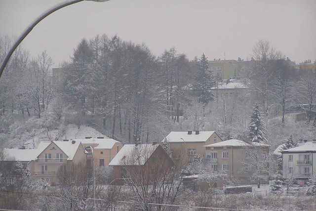 Gorlice zim:)