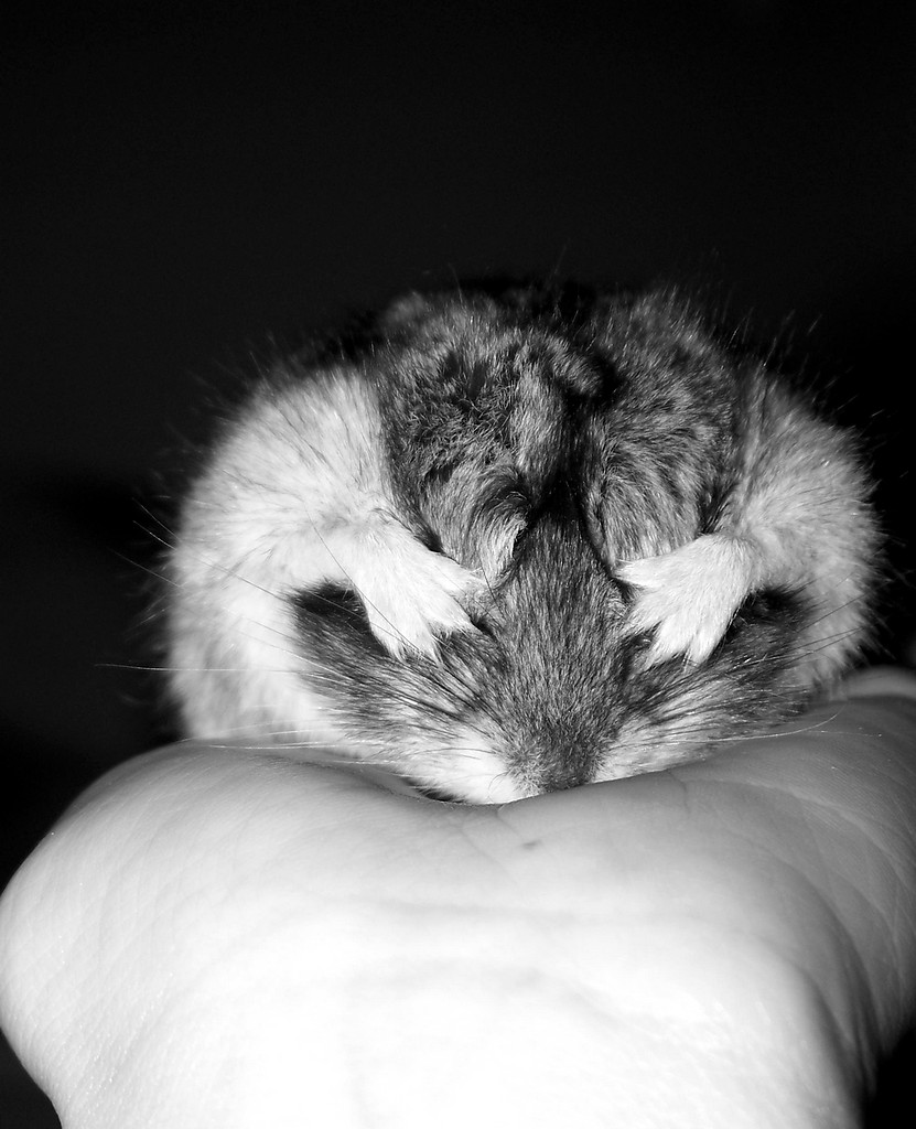 Das ist Colin
