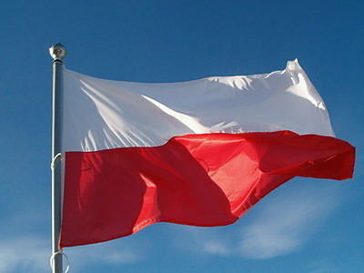 przegrana ;/