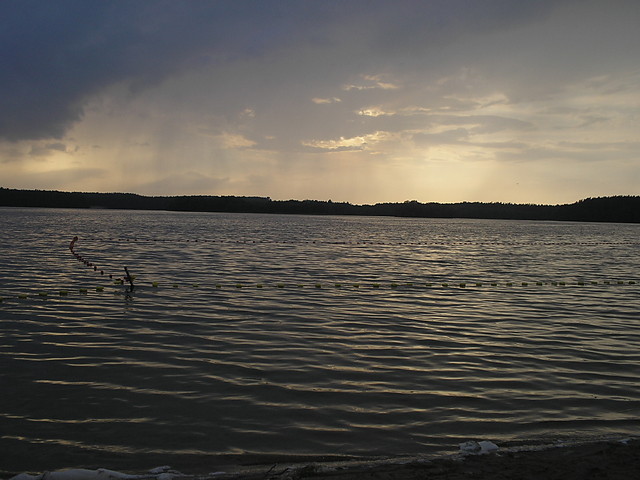 widok^