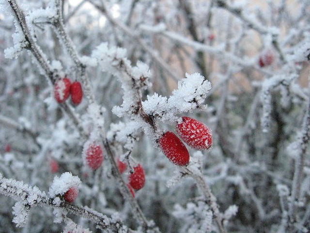 red.