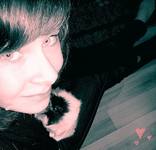 nowe 