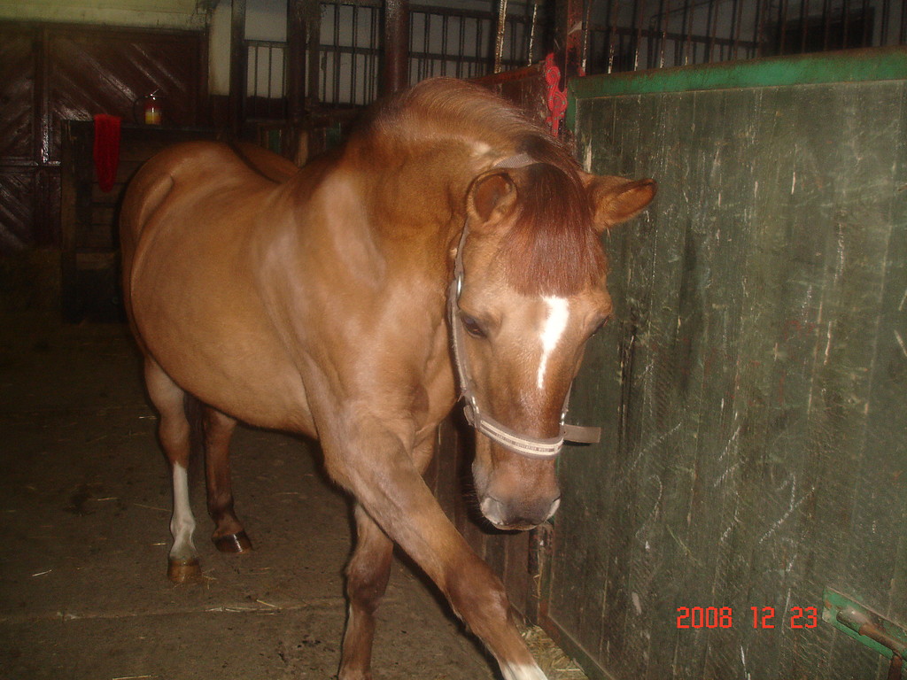 radocha