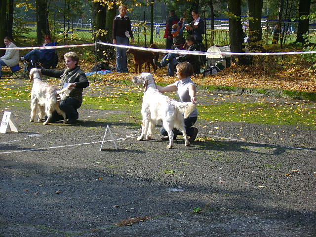 Wystawa 2008 Rybnik