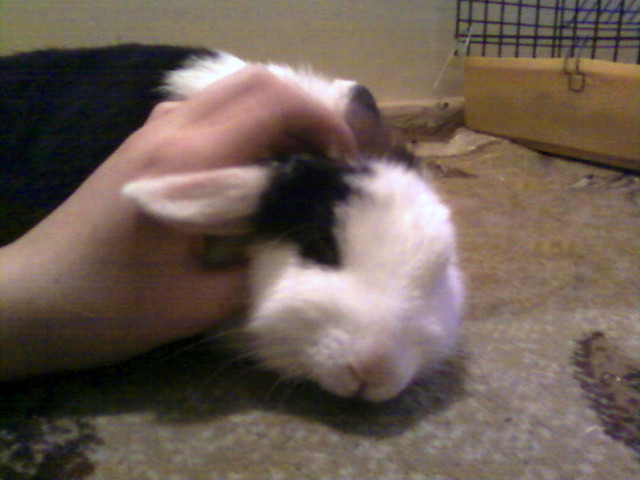 Moja:*