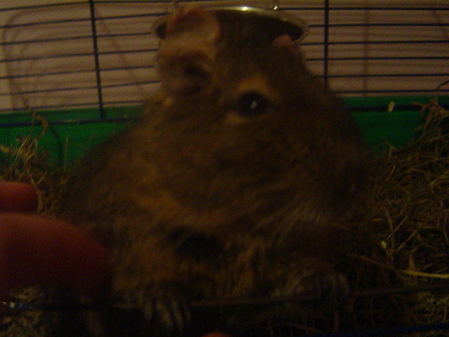 Stuart no ;D