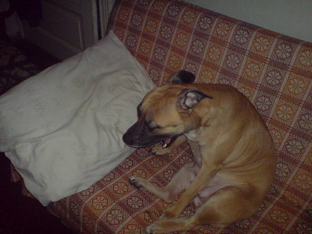 SPIOCH::)