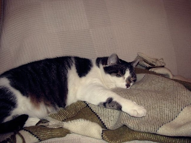 Zuz :)