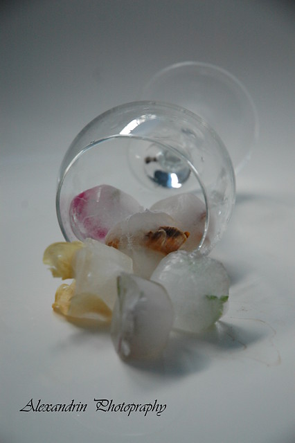 ice world