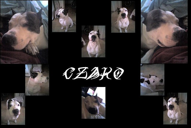 CzAkUs....