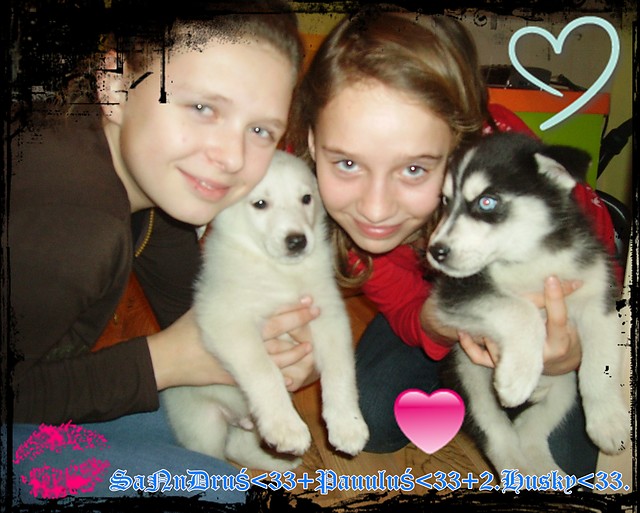  Ja  + Pauula + 2. Husky ; ***