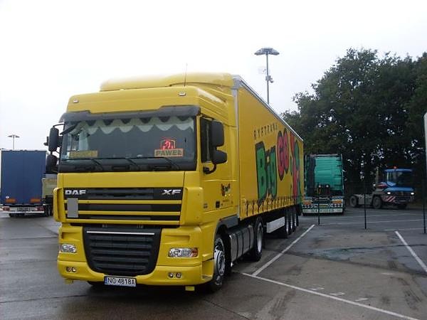 Werlte