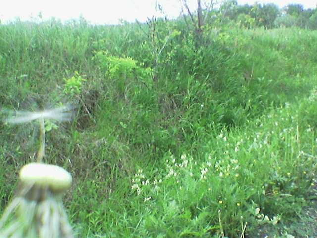 19 maj 2007
