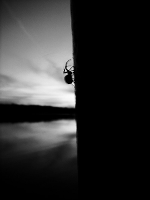 6.